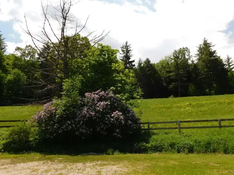 580 Sugar Hill Road Wallingford VT 05773