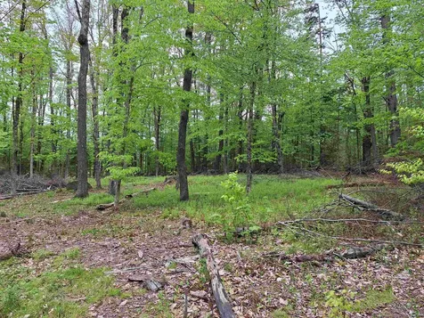 00 Jackson Drive Washington NH 03280