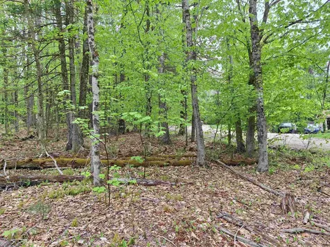 00 Jackson Drive Washington NH 03280
