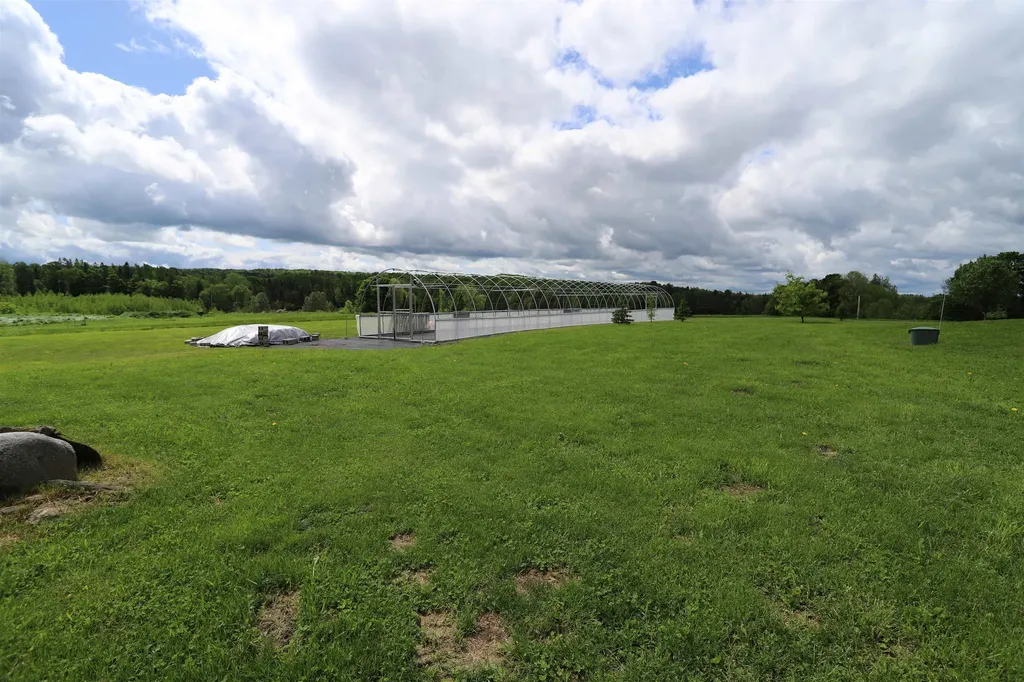 1136 Holland Pond Road Holland VT 05830