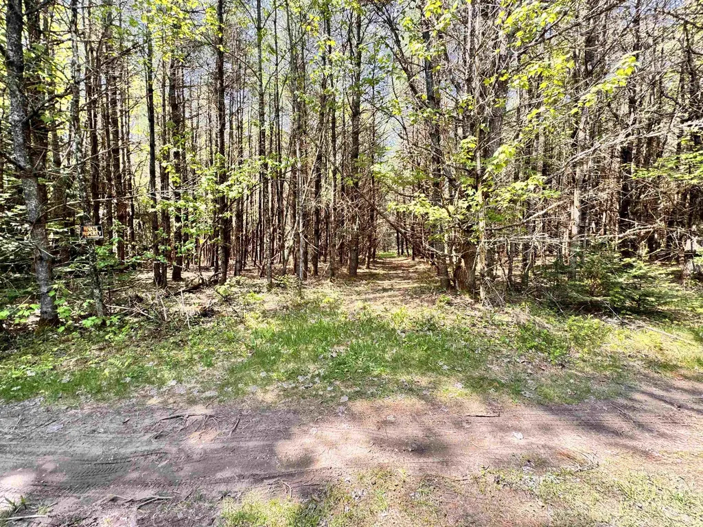 Lot 5 Wildflower Way Bath NH 03774