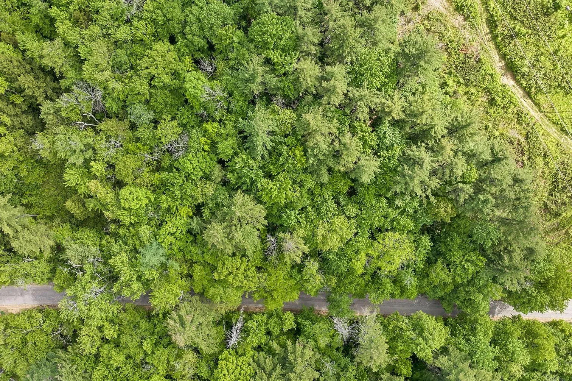 Murray Hill Road Hill NH 03243