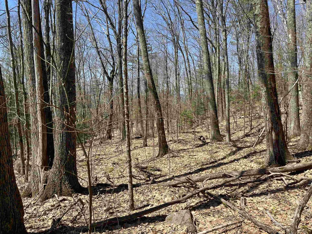 H-16 Tobey Road Campton NH 03223