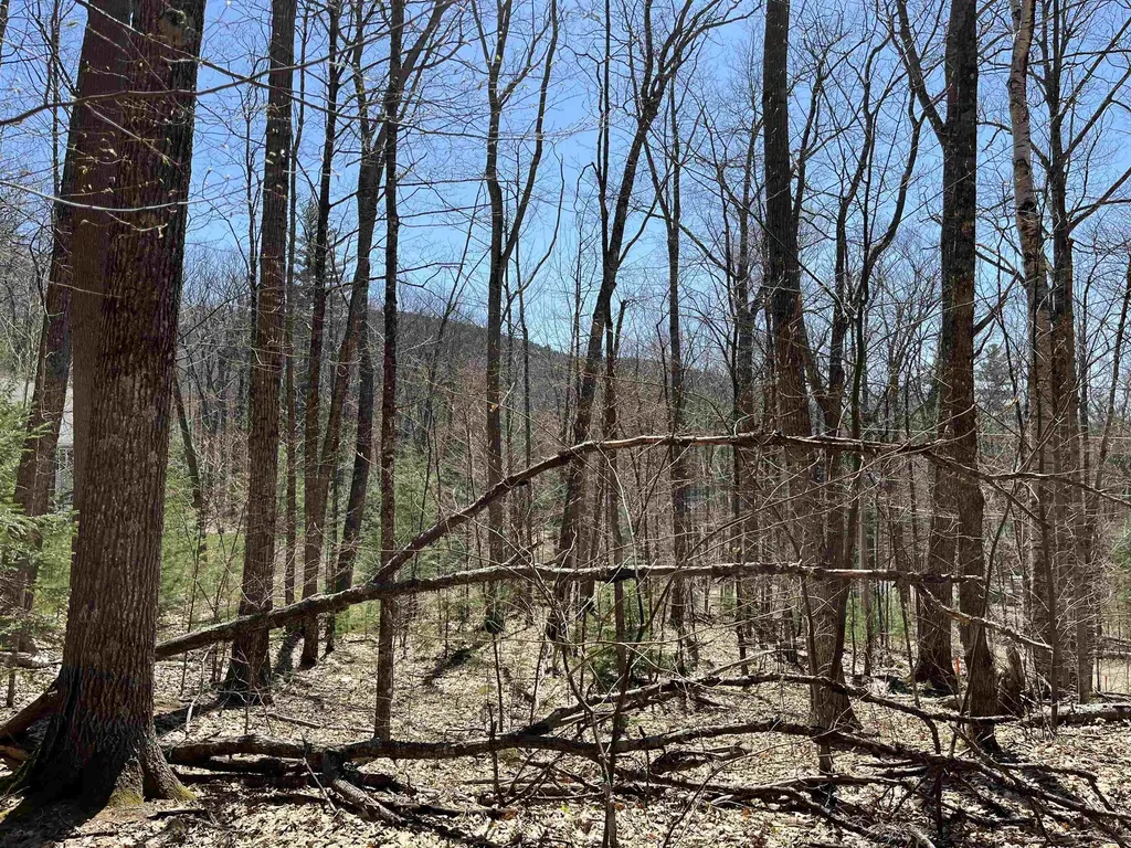 H-16 Tobey Road Campton NH 03223