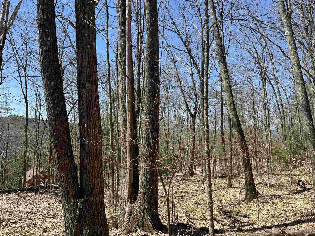 H-16 Tobey Road Campton NH 03223