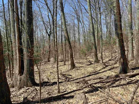 H-16 Tobey Road Campton NH 03223