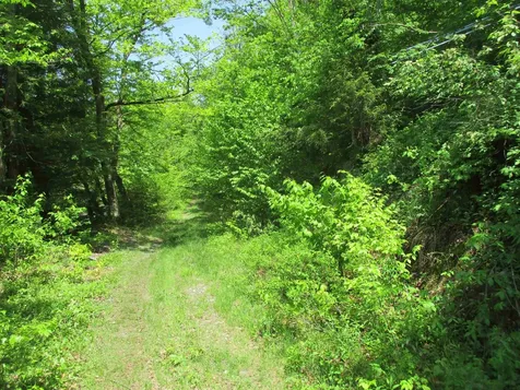 222 Granstworth Road Braintree VT 05060