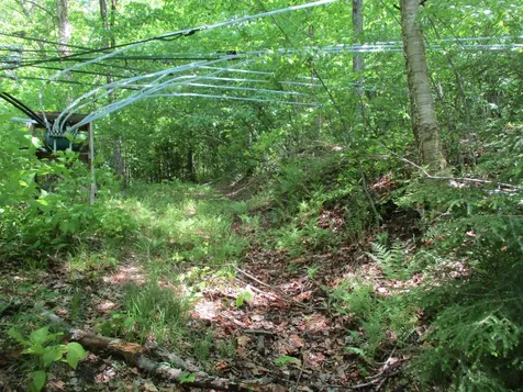 222 Granstworth Road Braintree VT 05060