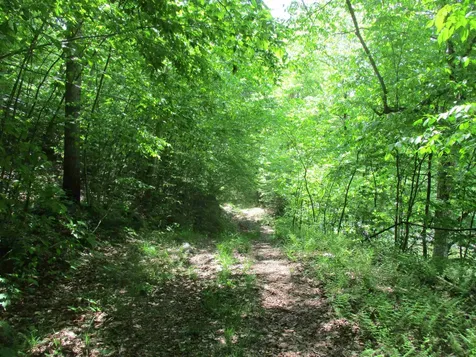 222 Granstworth Road Braintree VT 05060