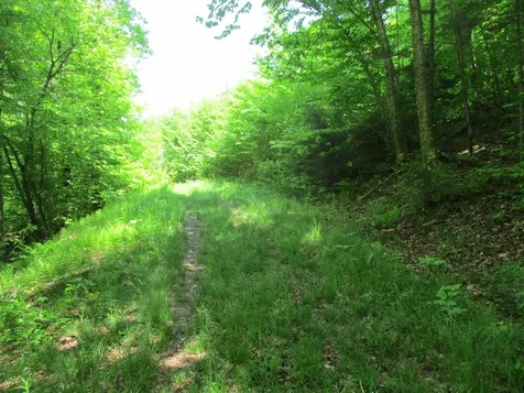 222 Granstworth Road Braintree VT 05060