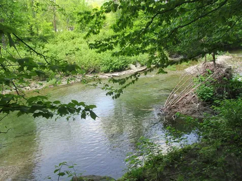 222 Granstworth Road Braintree VT 05060