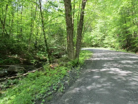 222 Granstworth Road Braintree VT 05060