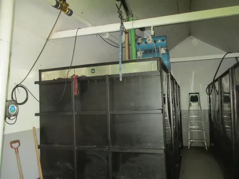 222 Granstworth Road Braintree VT 05060