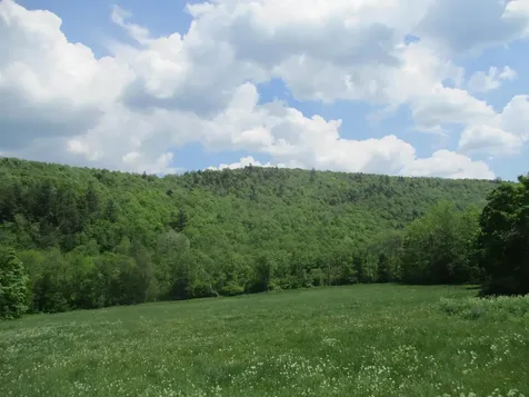 222 Granstworth Road Braintree VT 05060