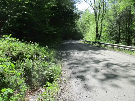 222 Granstworth Road Braintree VT 05060