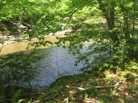 222 Granstworth Road Braintree VT 05060