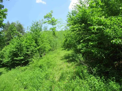 222 Granstworth Road Braintree VT 05060