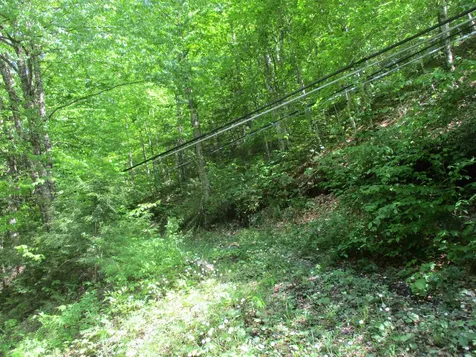 222 Granstworth Road Braintree VT 05060