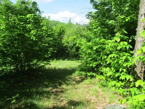 222 Granstworth Road Braintree VT 05060