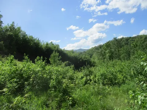 222 Granstworth Road Braintree VT 05060