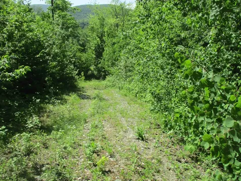 222 Granstworth Road Braintree VT 05060