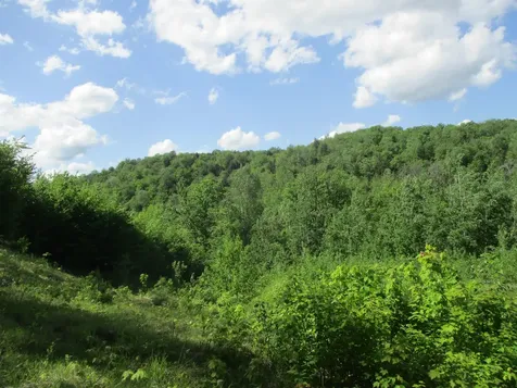 222 Granstworth Road Braintree VT 05060