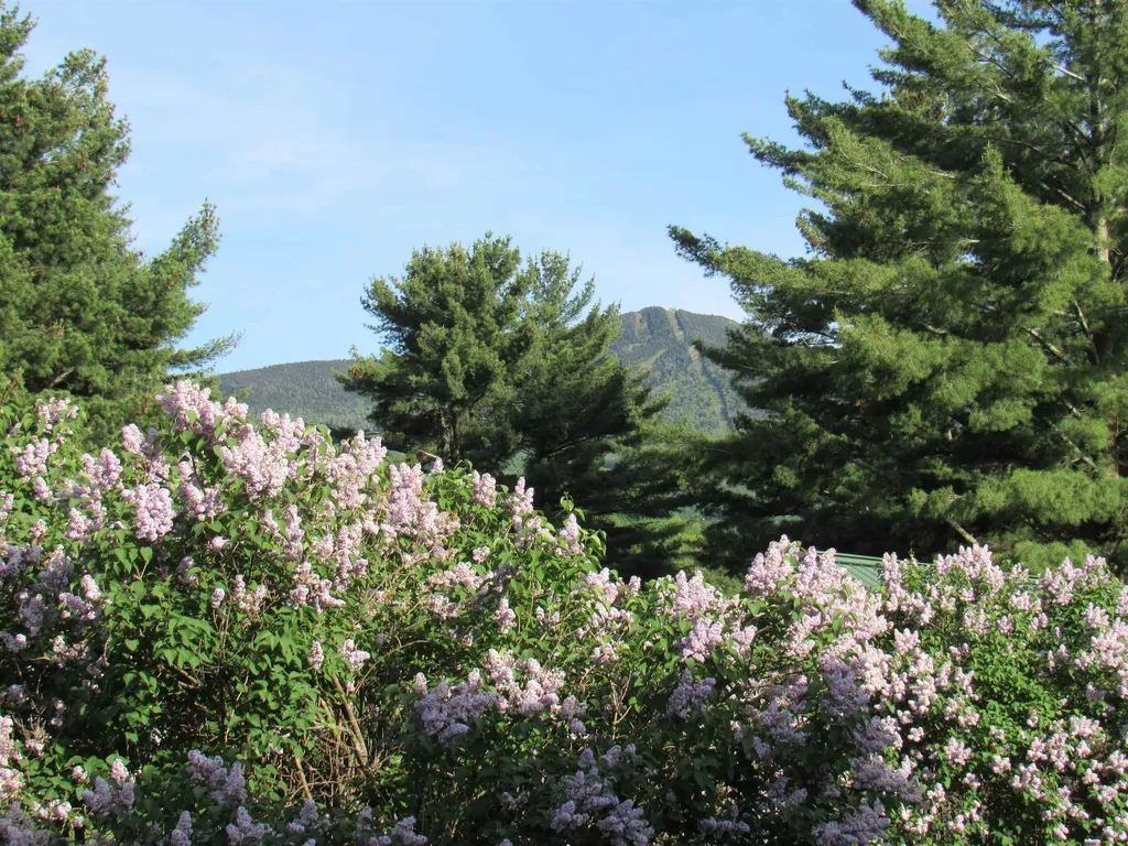 138 Mountain View Drive Cambridge VT 05464