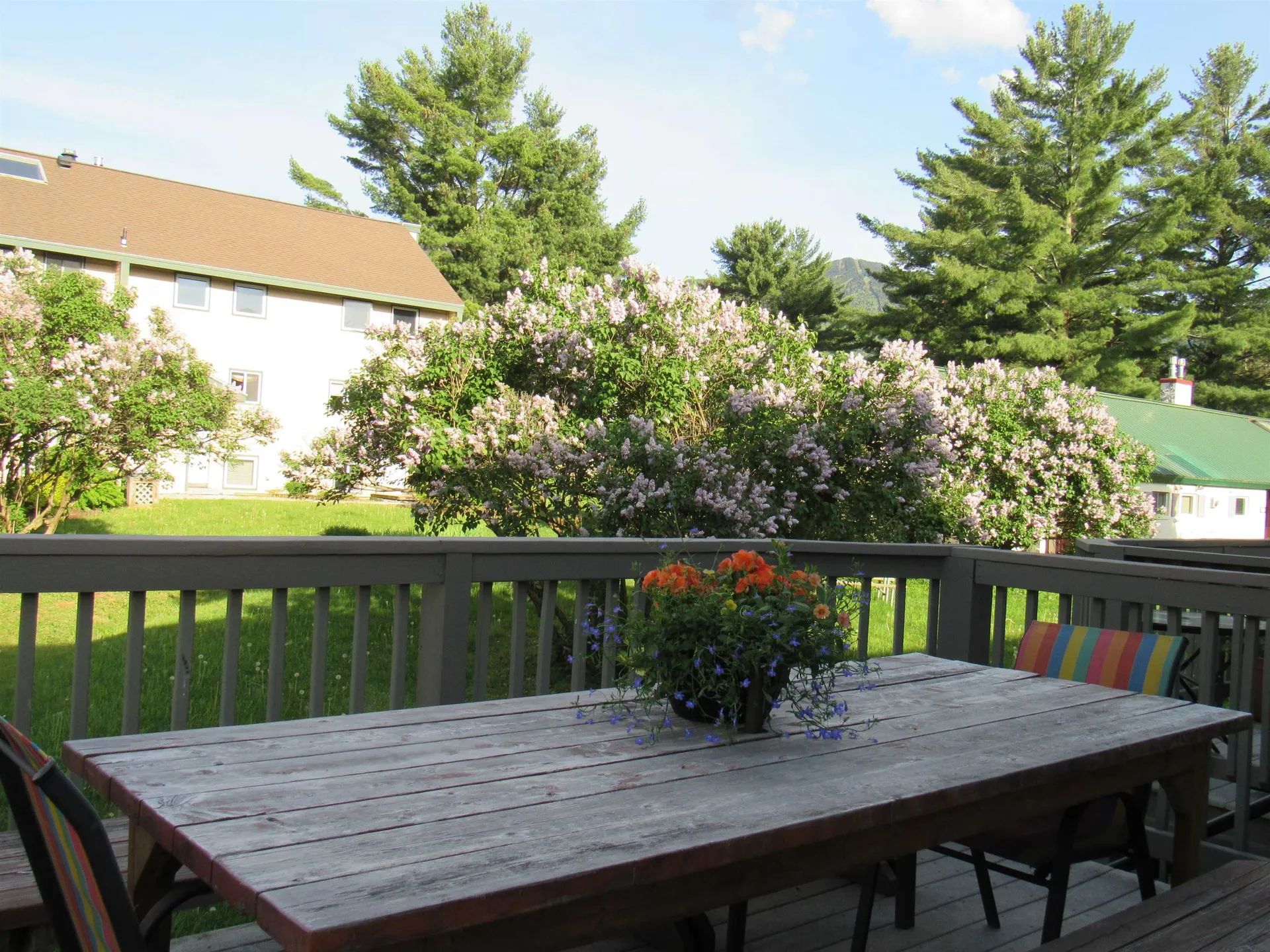 138 Mountain View Drive Cambridge VT 05464