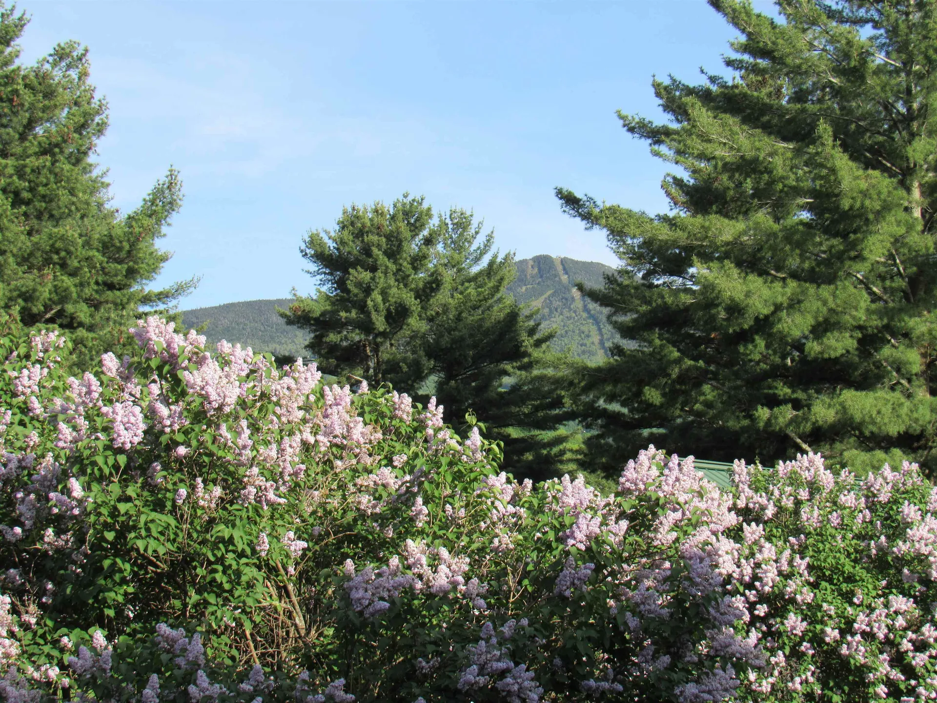138 Mountain View Drive Cambridge VT 05464