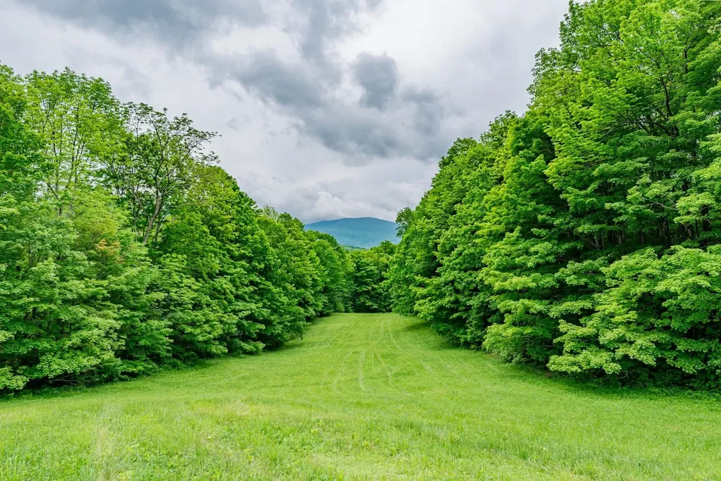 55 Dunn Lane Dorset VT 05251