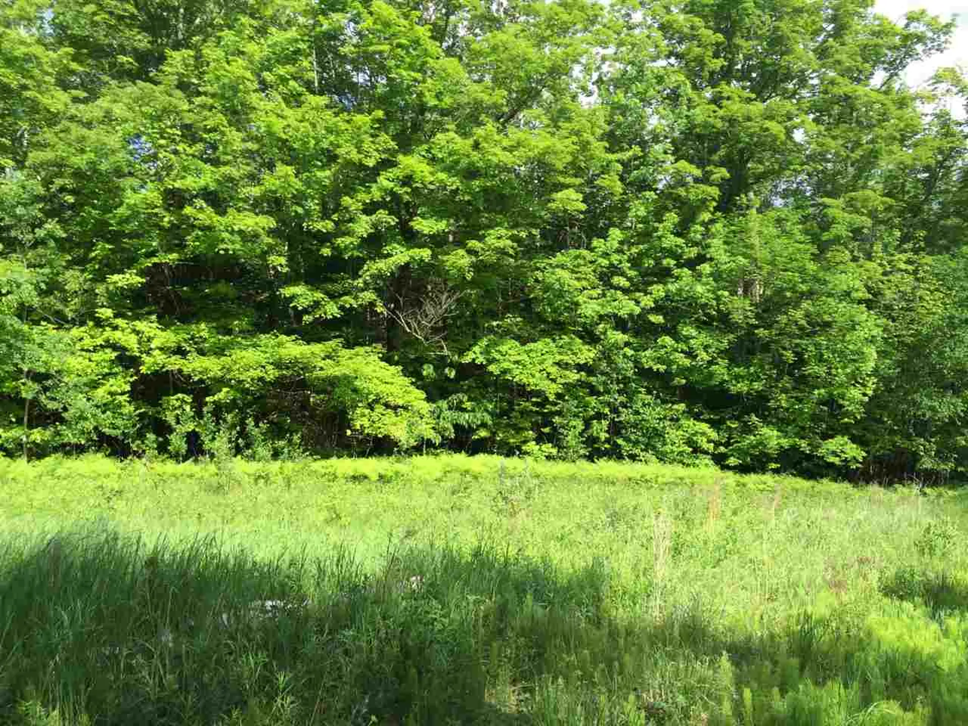 00 Mountain Road Burke VT 05832