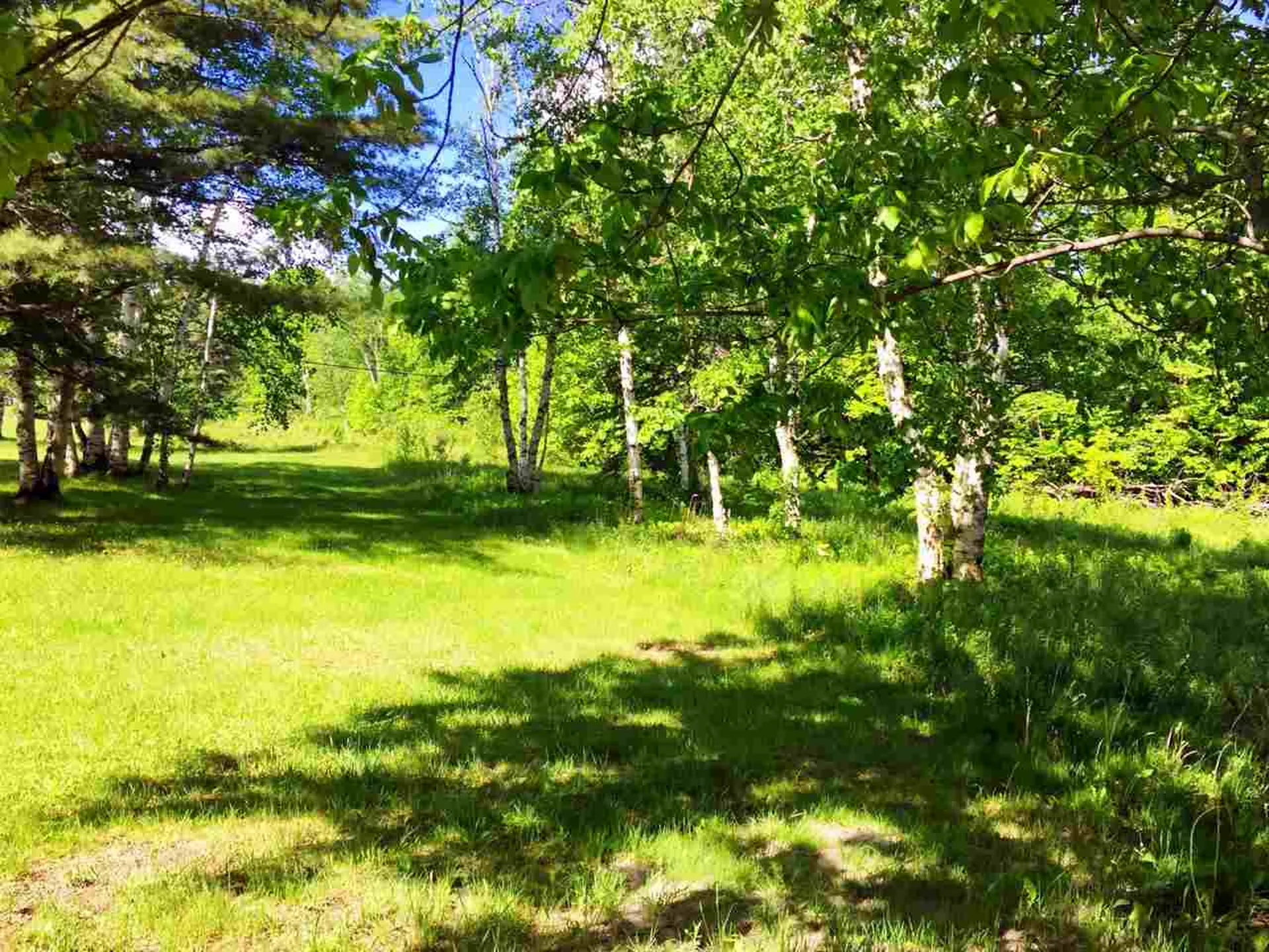 00 Mountain Road Burke VT 05832