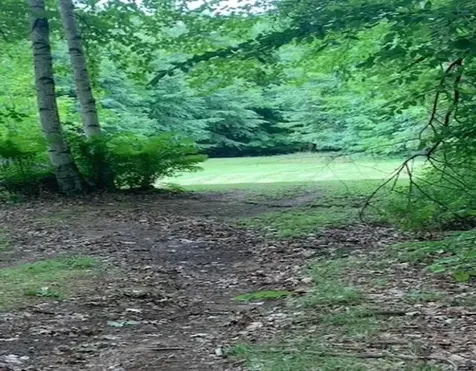 112 Plummer Hill Road Belmont NH 03220