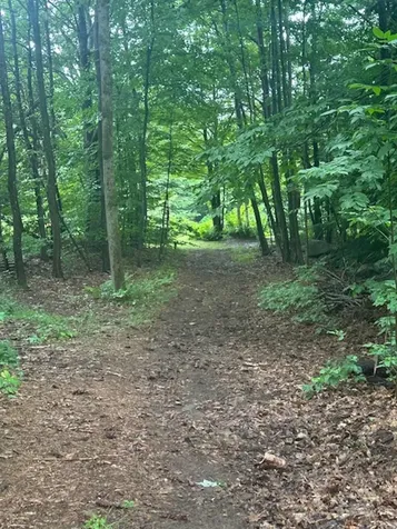 112 Plummer Hill Road Belmont NH 03220