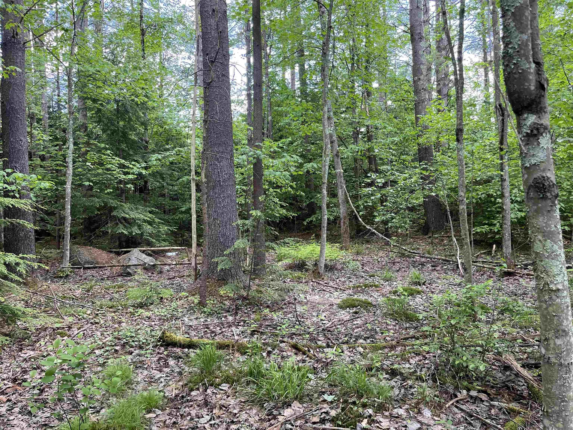 Lot 39 Concord Street Antrim NH 03440