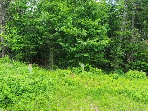 Lot 6 Nh Route 4a Grafton NH 03240