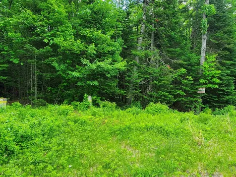 Lot 6 Nh Route 4a Grafton NH 03240