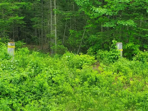 Lot 6 Nh Route 4a Grafton NH 03240
