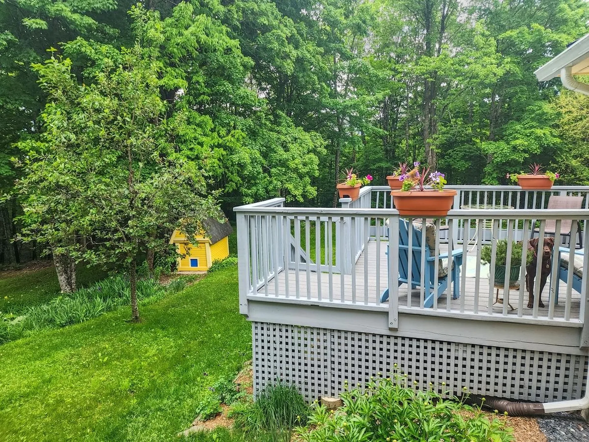11 Ward Hill Road Tunbridge VT 05077