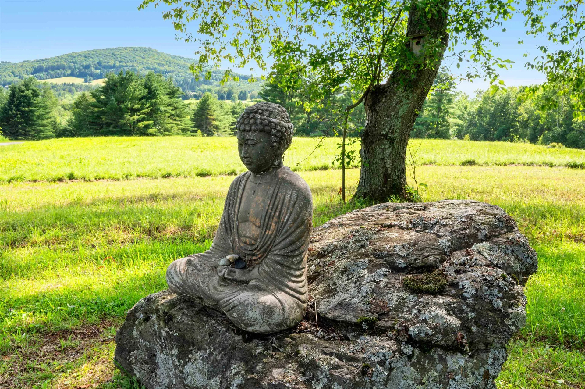 617 Covered Bridge Road Stowe VT 05672