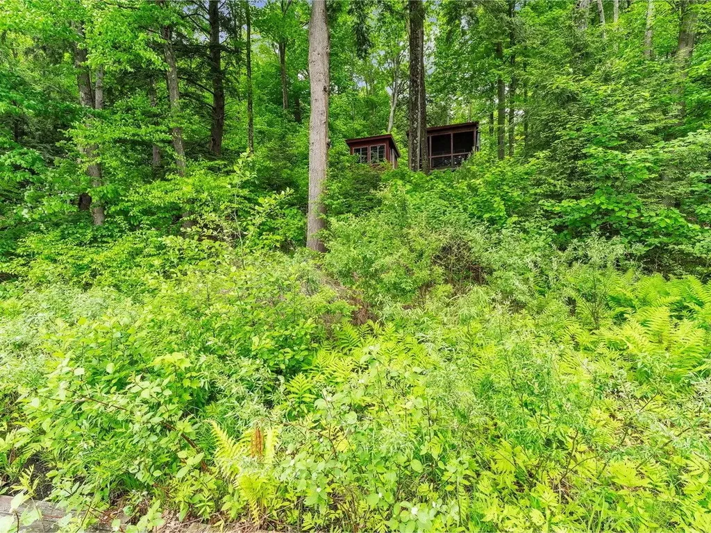45 Bristol Pond Road Bristol VT 05443