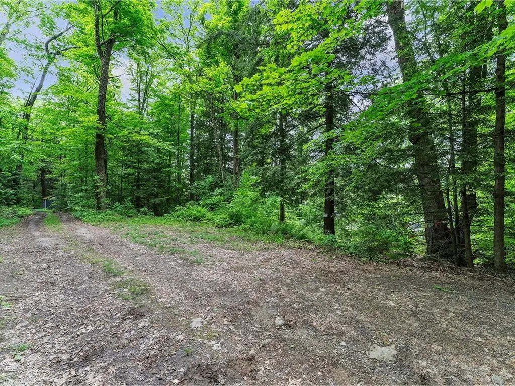 45 Bristol Pond Road Bristol VT 05443