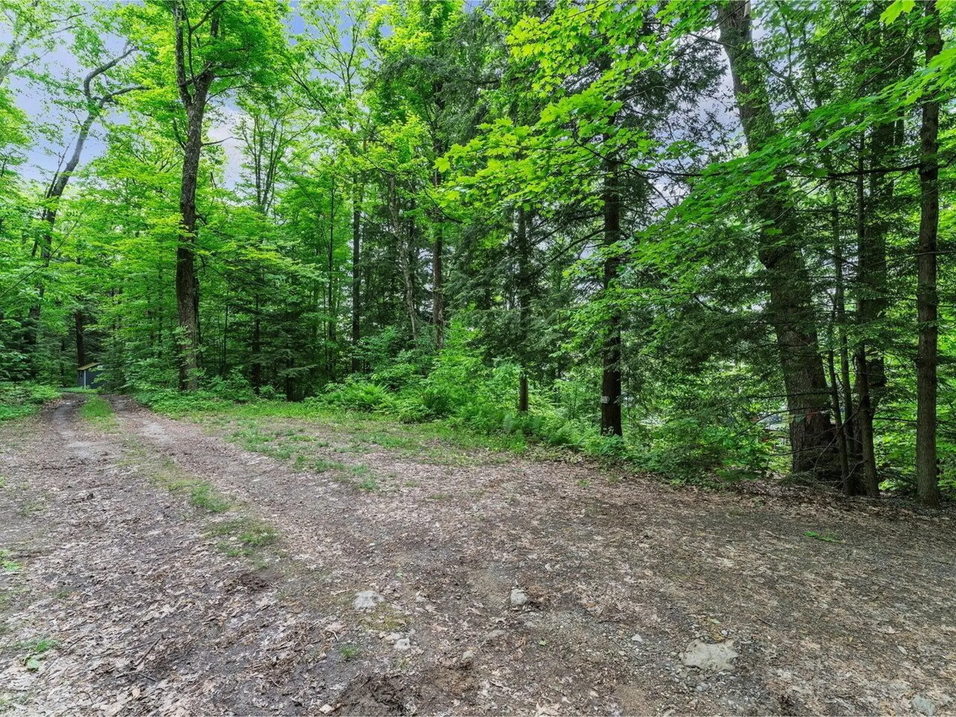 45 Bristol Pond Road Bristol VT 05443