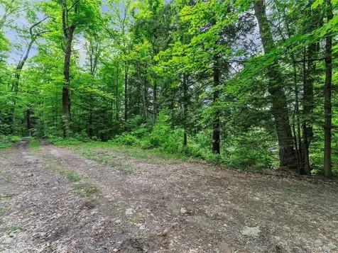 45 Bristol Pond Road Bristol VT 05443