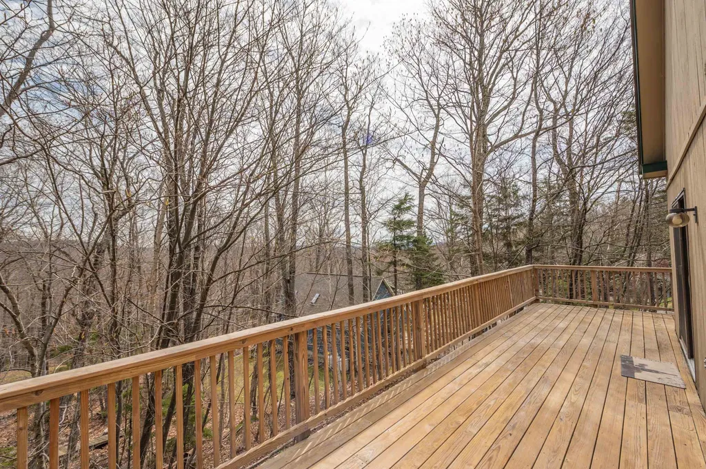 38 Bears Den Road Dover VT 05356