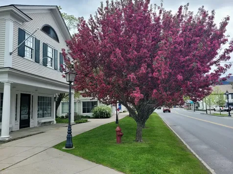 321 Depot Street Manchester VT 05255