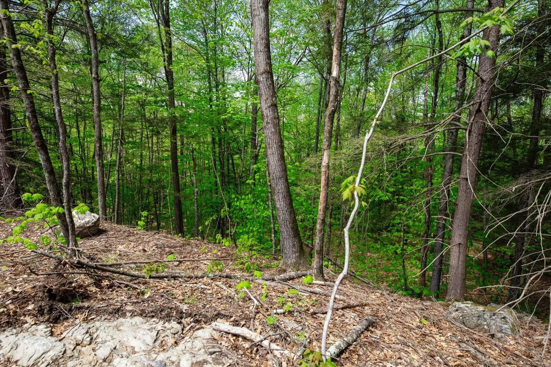 Pond Brook Road Chesterfield NH 03443