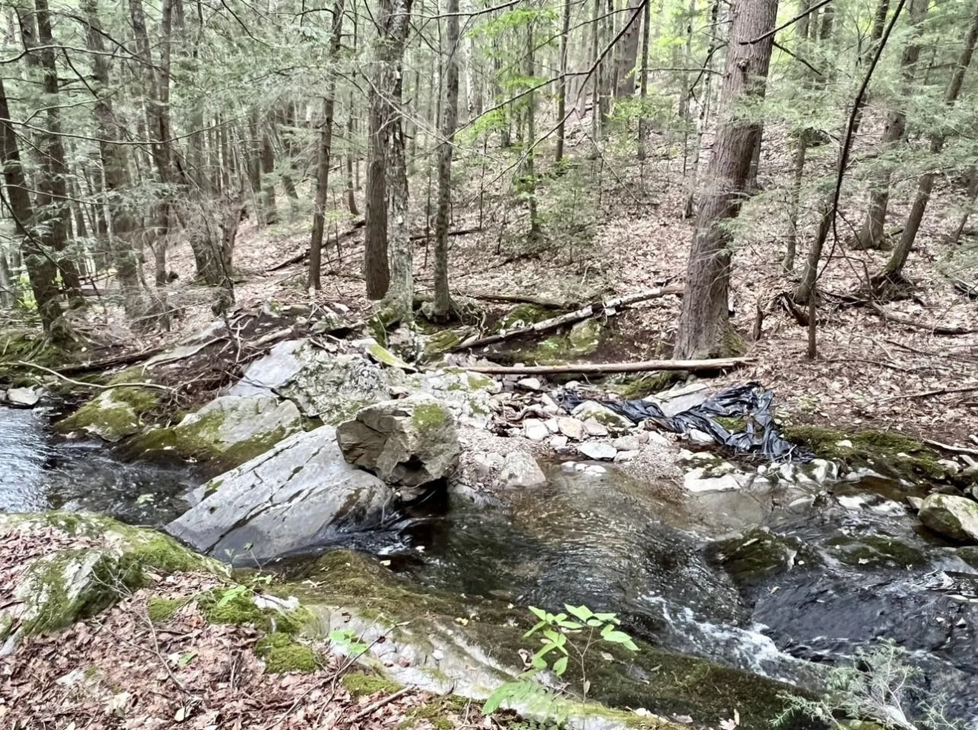 Pond Brook Road Chesterfield NH 03443