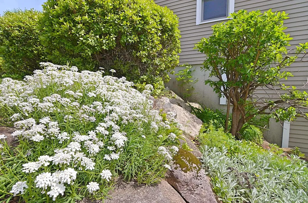 55 Pasquaney Lane Bridgewater NH 03222