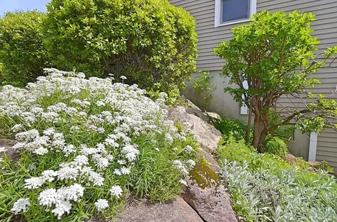 55 Pasquaney Lane Bridgewater NH 03222